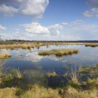 Internationaler Naturpark Bourtanger Moor – Veenland