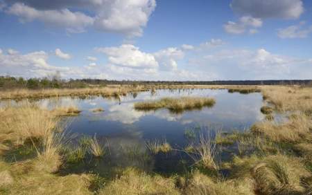 Internationaler Naturpark Bourtanger Moor – Veenland