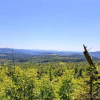 Bavarian Forest National Park and Šumava National Park