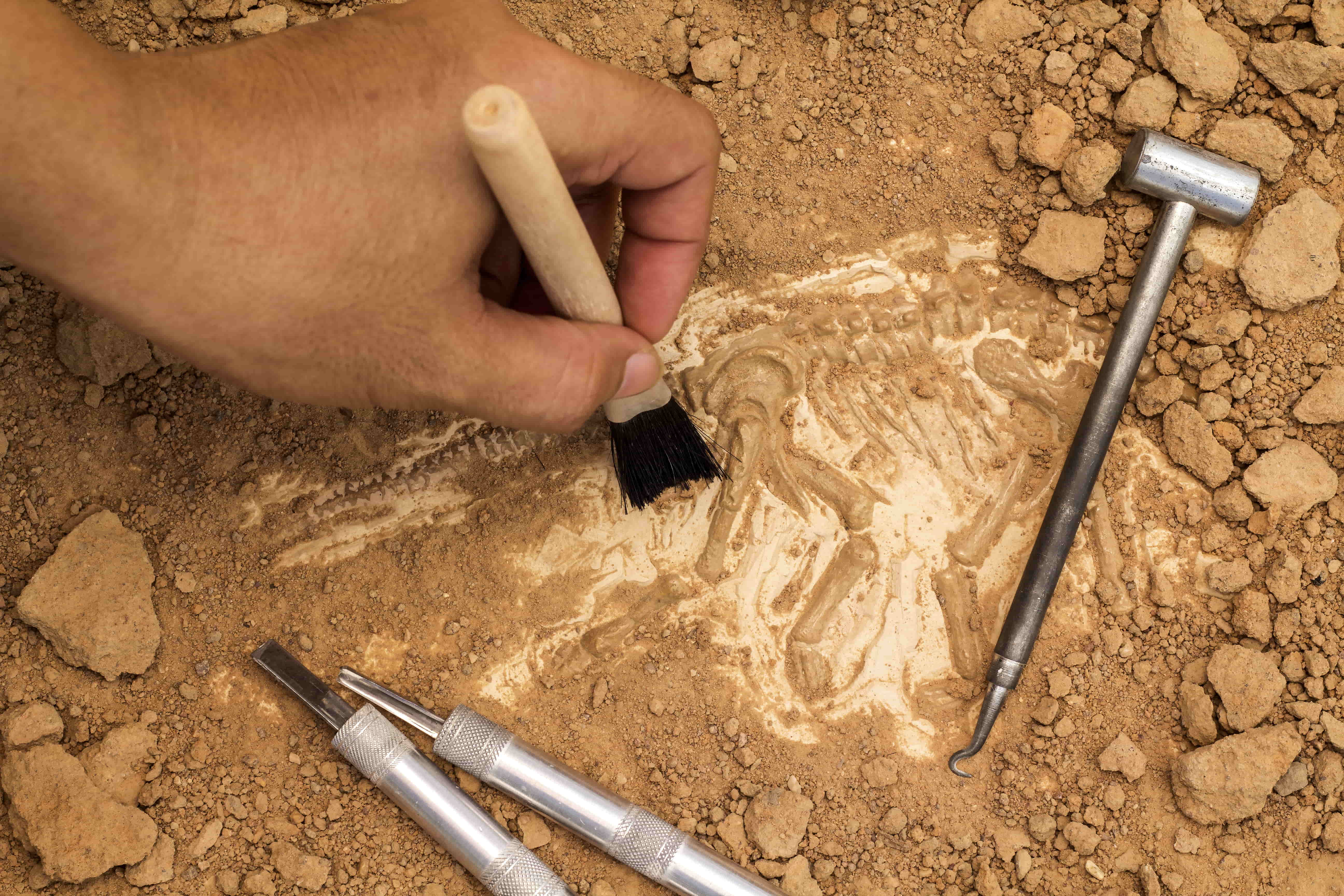 Cross-border recognition of the professional experience of lead archaeologists