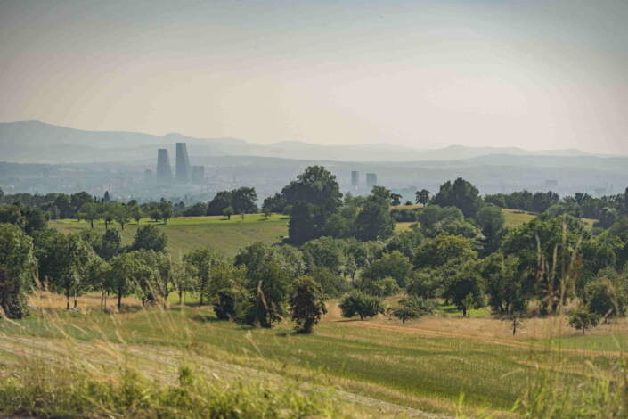 Basel Tri-National Eurodistrict